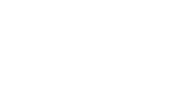 에이스 솔루션 logo